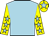 Bridgetown Boy silk