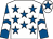 Noble Recall silk