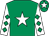 Palmarian silk