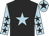 Pershalla silk