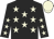 Luminous Warrior silk