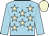 U S S Charleston silk