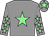 Timely Salute silk