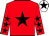 State Pension silk