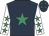 Saint Arion silk