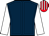 The Two Four silk