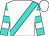 20:12 Horseshoe Indianapolis - 05 Nov 2024 - Racecard - Race 3 | BetHQ