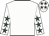 Limerick Leader silk