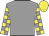 Eldeyaar silk